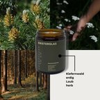 KNISTERGLAS Kerzenset NATUR