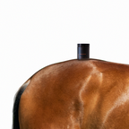 GOLDEN BLAZE Duftkerze