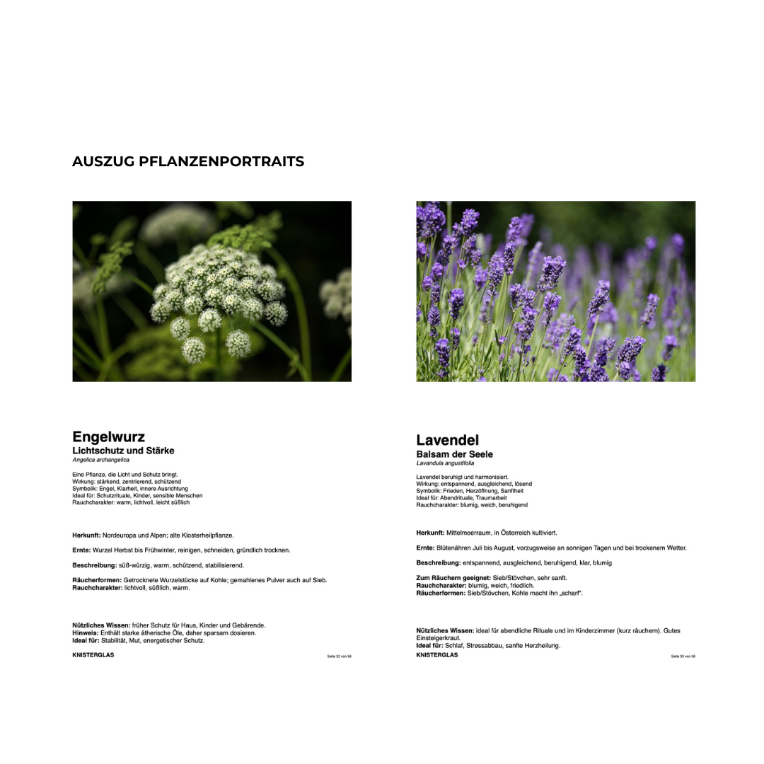 Rauhnächte Guide/Journal